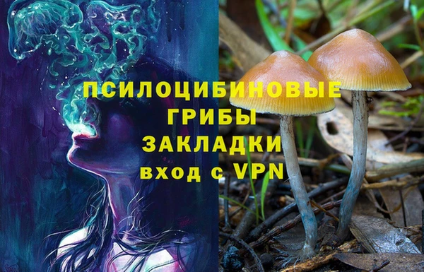 крисы Сосновоборск