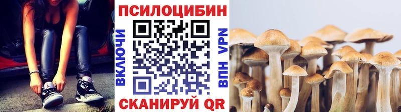 Псилоцибиновые грибы Psilocybe  Десногорск 